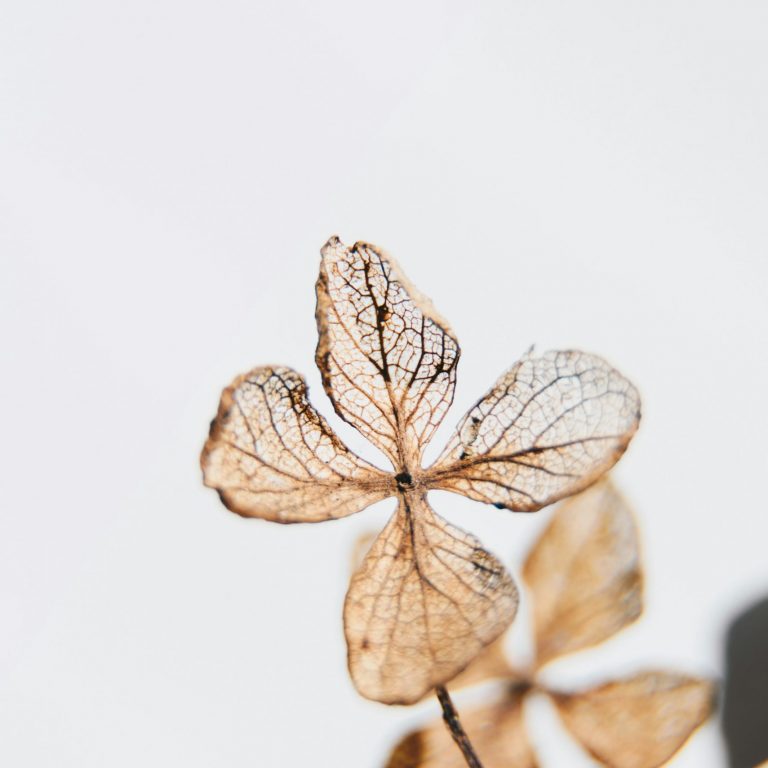 evie-s-Us2pNOrH1MQ-unsplash
